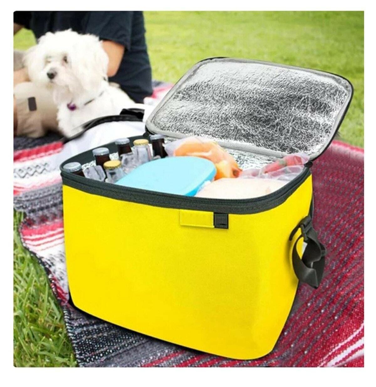 Termos Çanta - Piknik Çantası Buz Aküsü Hediyeli 40LT (4401)