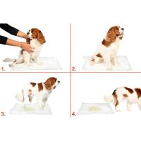 10 lu Köpek Tuvalet Eğitim Pedi - Kullan At Çiş Pedi - 90 X 60 Cm