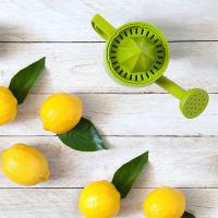 Bahçıvan Limon Sıkacağı - Hazneli Narenciye Sıkacağı