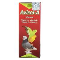 Papağan D3 Vitamini - Avisol A